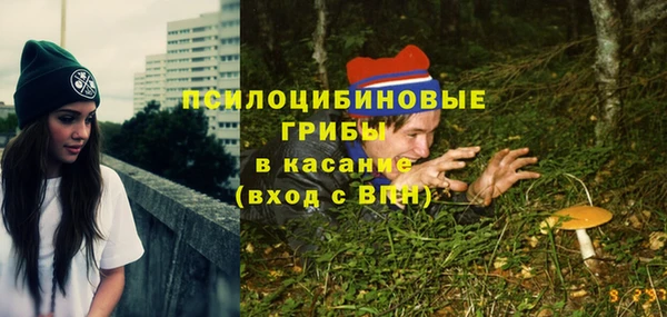синтетический гашиш Переславль-Залесский