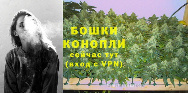 мяу мяу кристалл Покачи