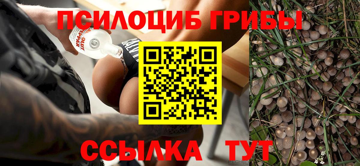 Галлюциногенные грибы GOLDEN TEACHER Бахчисарай