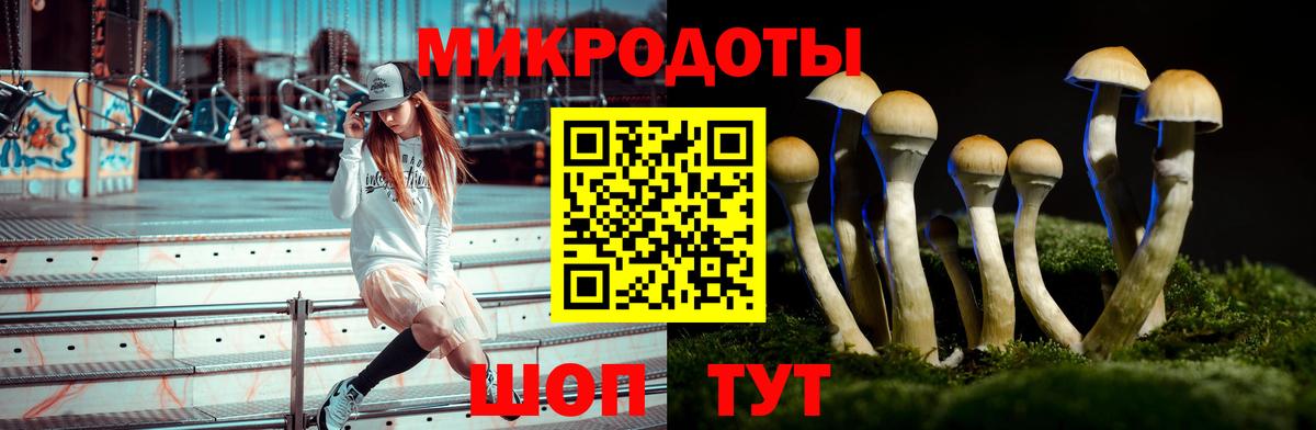 Галлюциногенные грибы Psilocybe  Галлюциногенные грибы ЛСД  купить наркотики сайты  Бахчисарай 